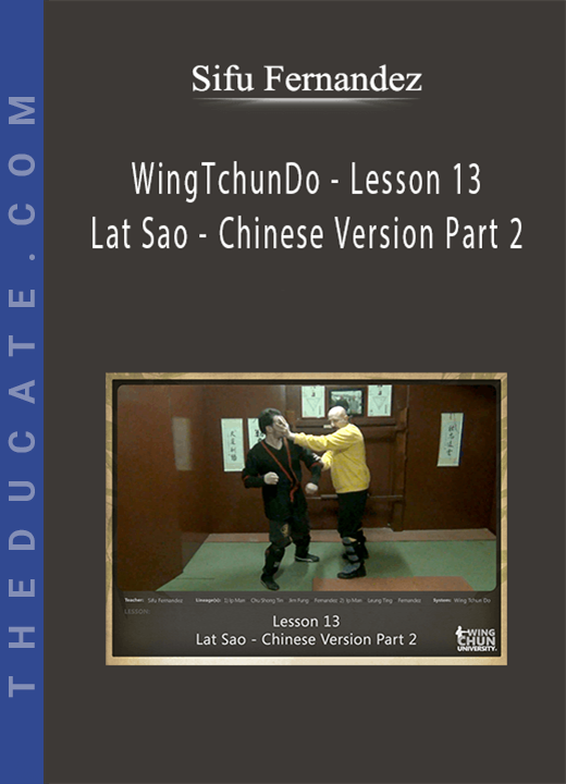Sifu Fernandez - WingTchunDo - Lesson 13 - Lat Sao - Chinese Version Part 2