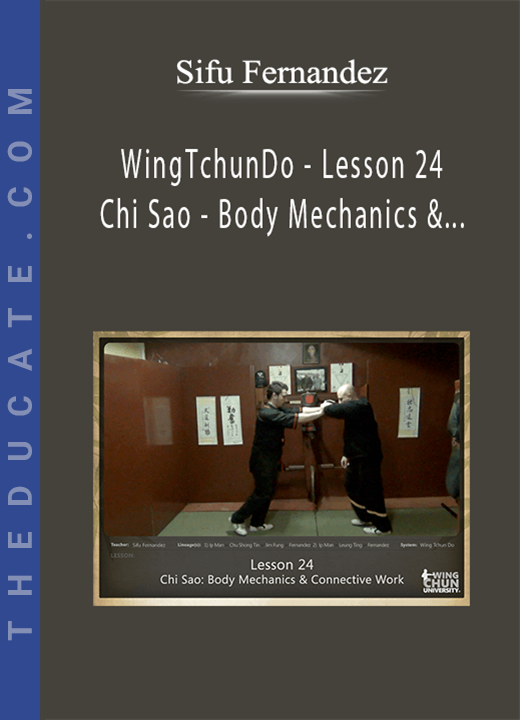 Sifu Fernandez - WingTchunDo - Lesson 24 - Chi Sao - Body Mechanics & Connective Work