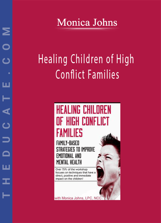 Healing Children of High Conflict Families: Family-Based Strategies to Improve Emotional and Mental Health - Monica Johns